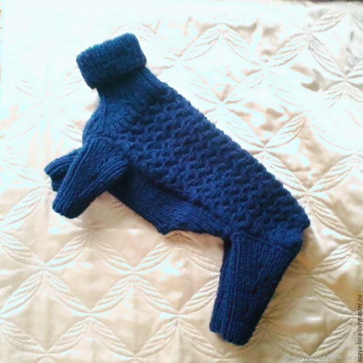 Вязаный комбинезон для собаки
