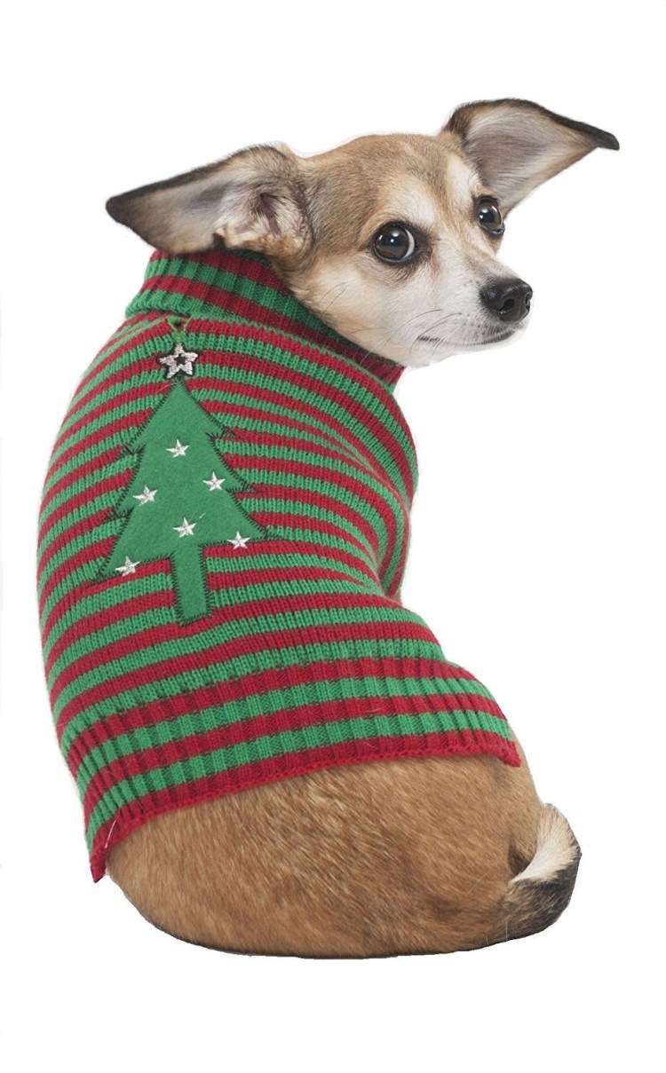 Одежда для собак Ringo