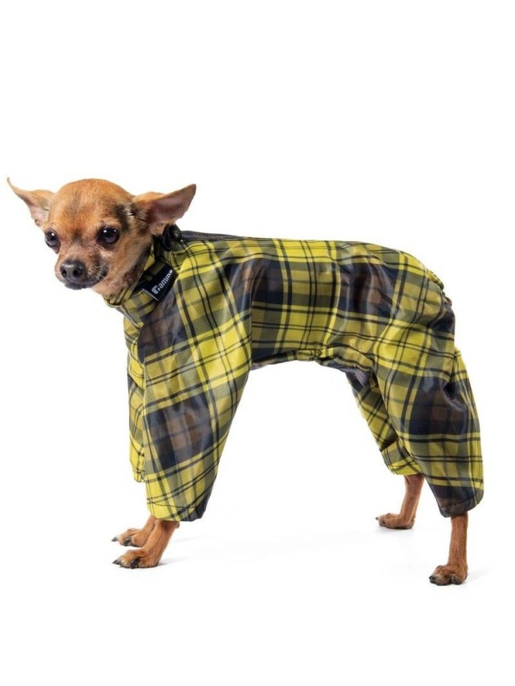 Вязаная одежда для той терьера