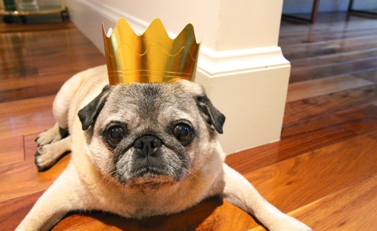 Мексиканский епандос