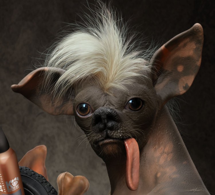 Мексиканская хохлатая собачка