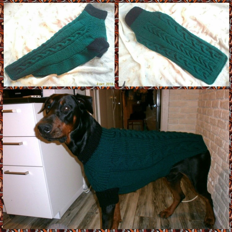 Свитер для собак