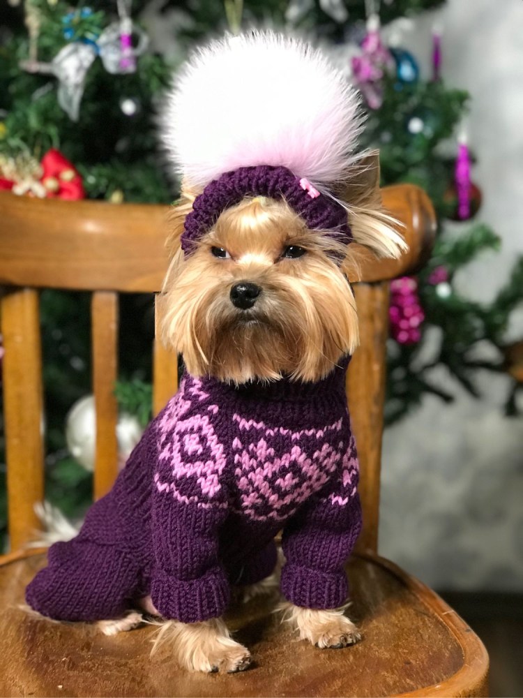 Свитер для собак