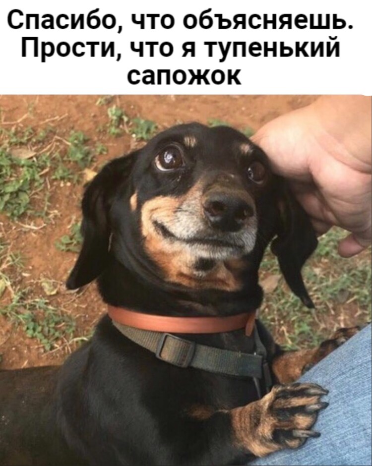 Прости что я такой тупой сапожок