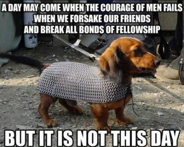 Такса улыбается