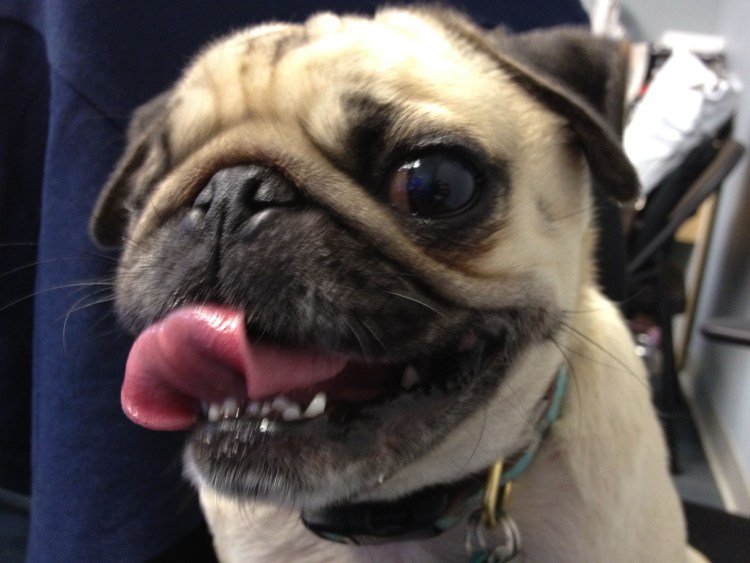 Смешная улыбка