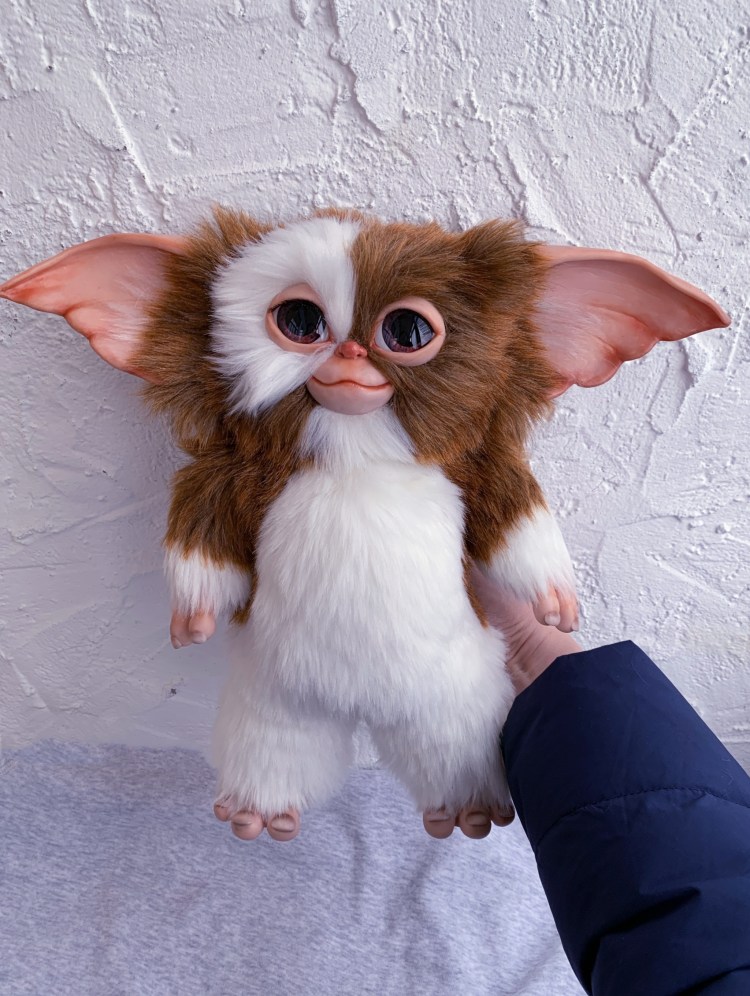 Бельгийский гриффон