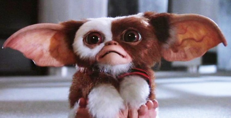 Гремлин Магвайчик