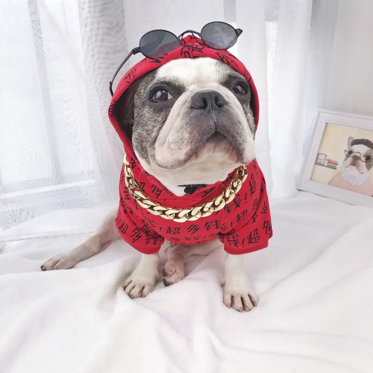 Обувь для французского бульдога