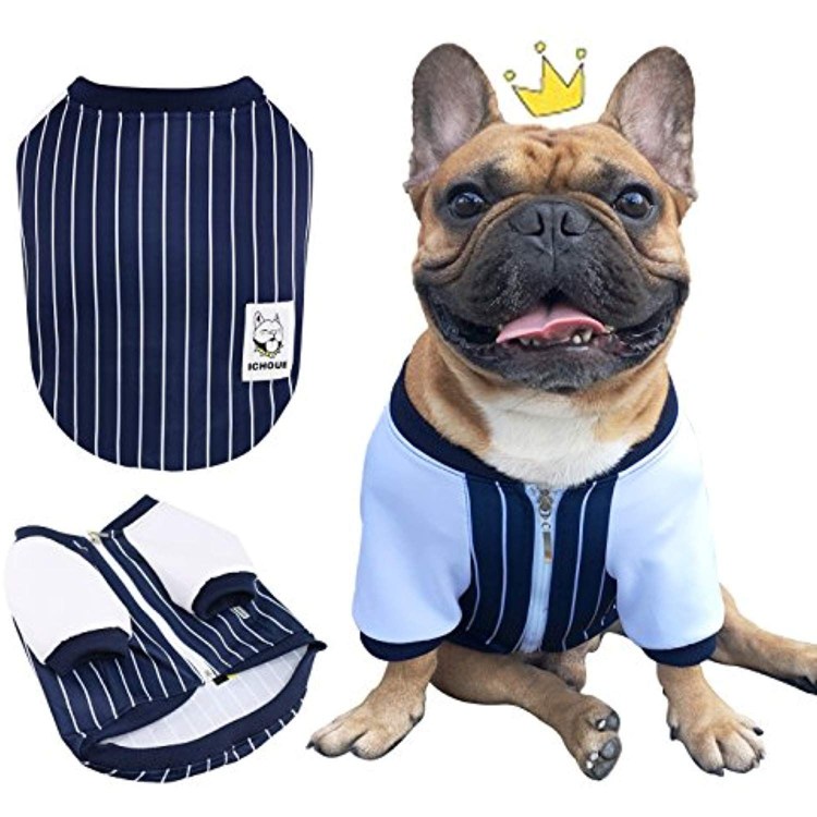 Бульдог дворецкий