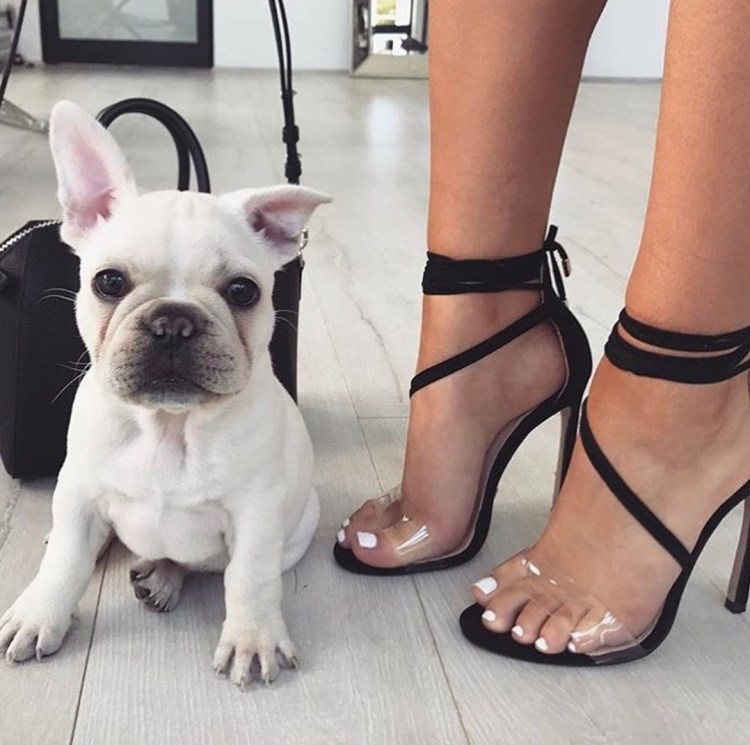 Вязаный свитер для французского бульдога