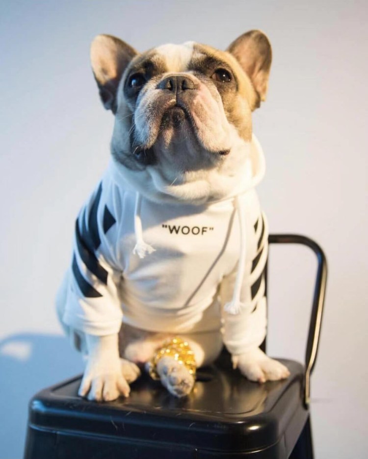 Футболки с вышивкой собак на кармашке