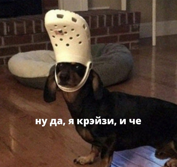 Собачка в хлебушке