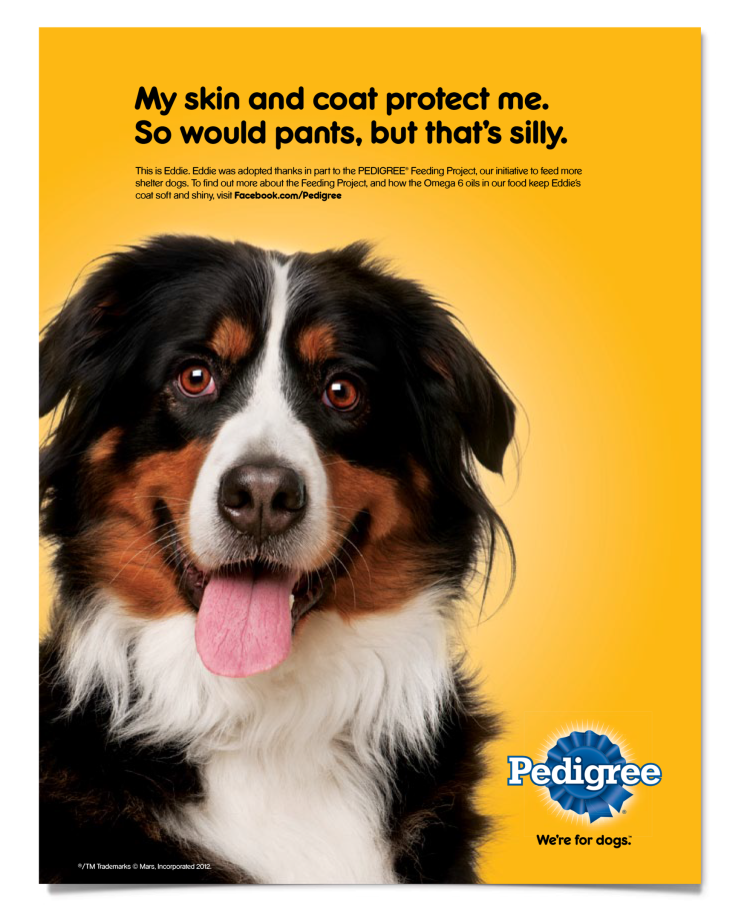 Собака из рекламы корма Педигри