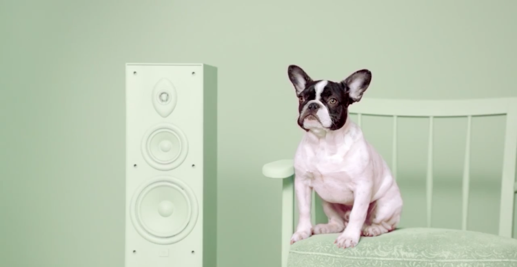 Щенки из рекламы