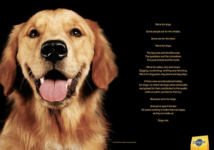 Джек Рассел Педигри