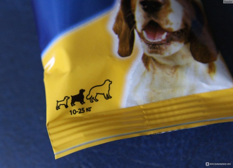 Собака из рекламы МТС