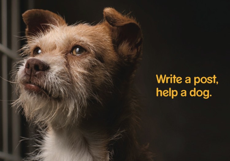 Реклама Дента Стикс