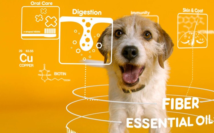 Педигри текстовая реклама