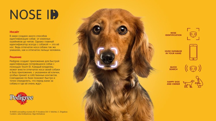 Вельш корги пемброк