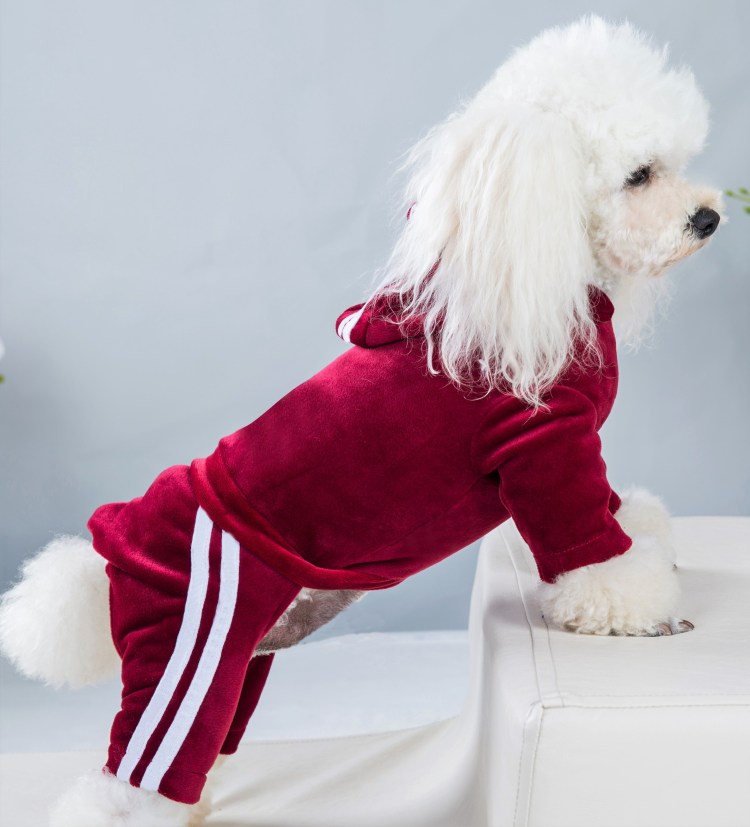 Triol Disney одежда для собак