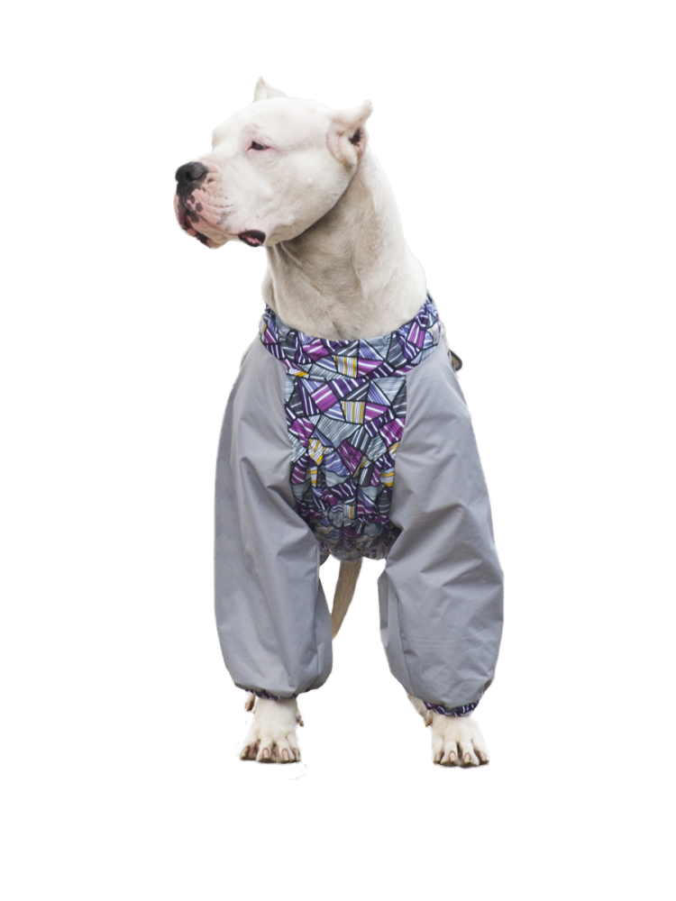 Толстовка для собаки