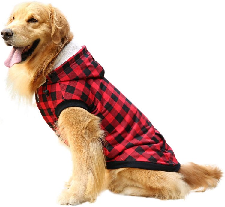 Праздничная одежда для собак