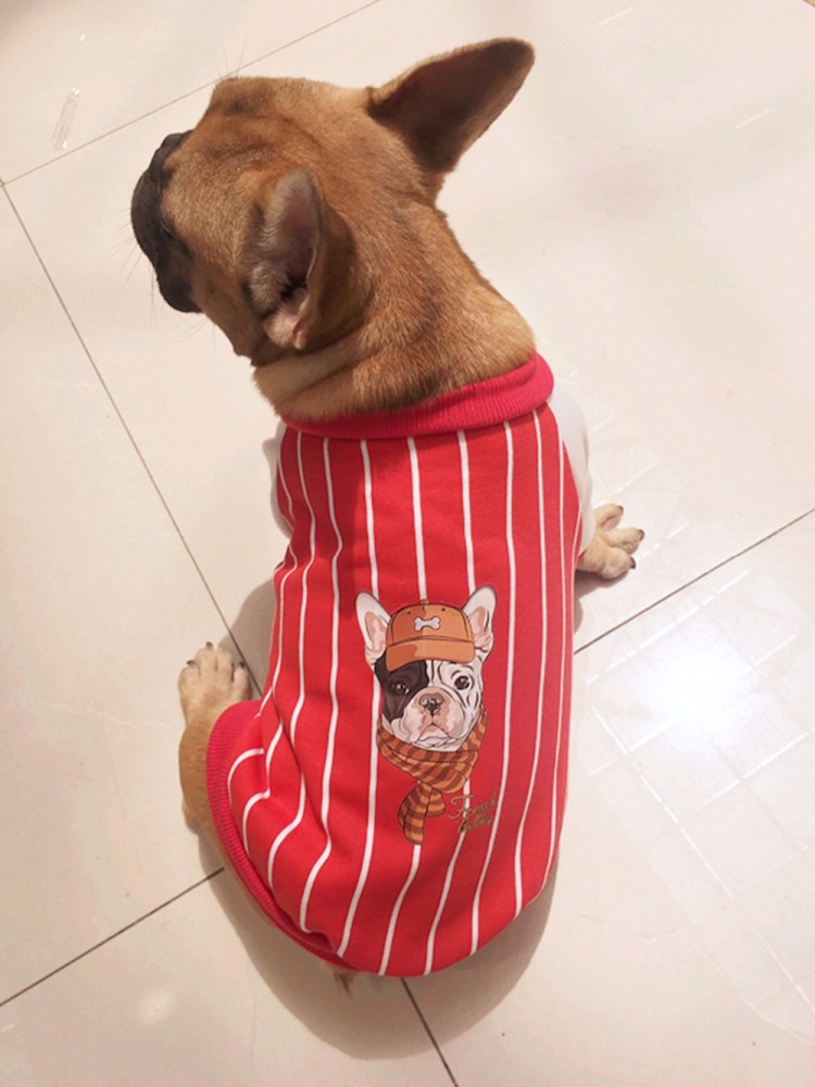 Одежда для животных