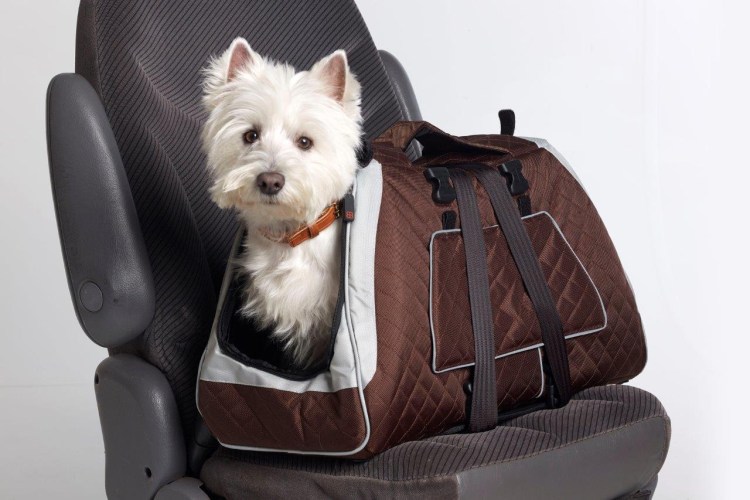 Сумки переноски для собак средних пород