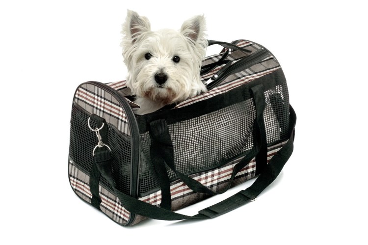 Переноска-сумка для кошек и собак Дарэлл Zoo-m Classic 47х35х31 см