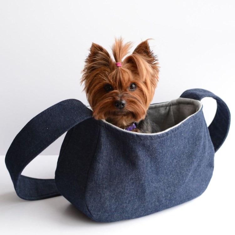 Йорк в сумочке