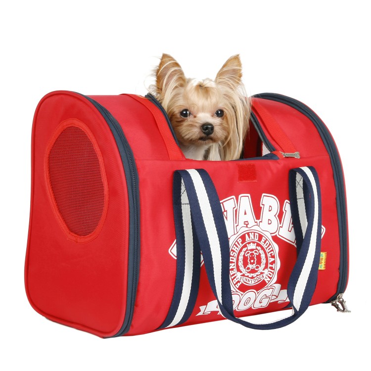 Рюкзак для собаки