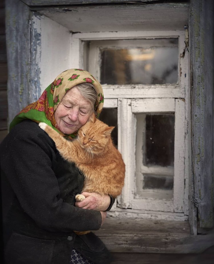 Кот в деревенском доме