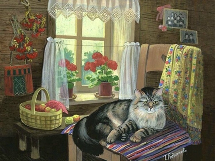 Деревенский кот на заборе