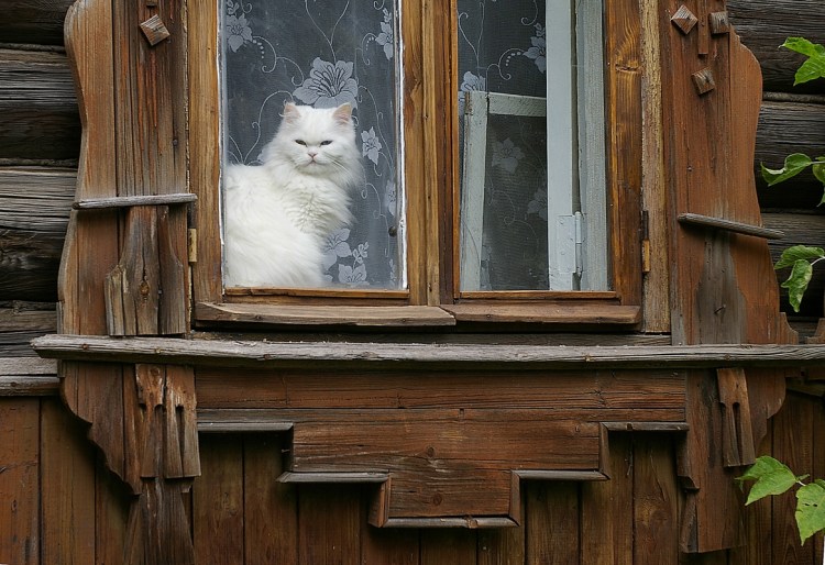 Деревня из окна дома