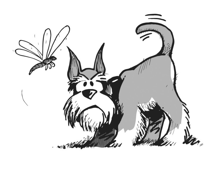 Цвергшнауцер мультяшный