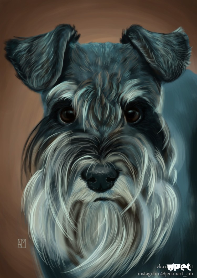 Цвергшнауцер мультяшный