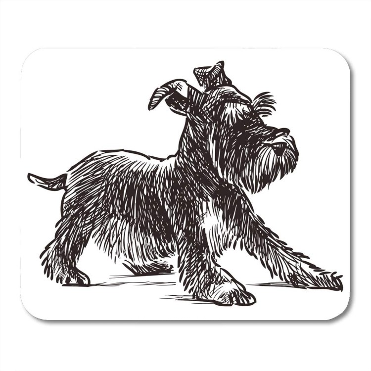 Ризеншнауцер мультяшный