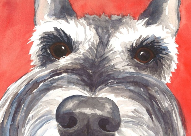 Морда Ризеншнауцер силуэт