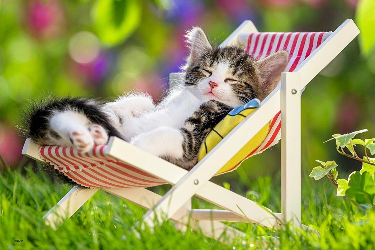 Гамак для кота