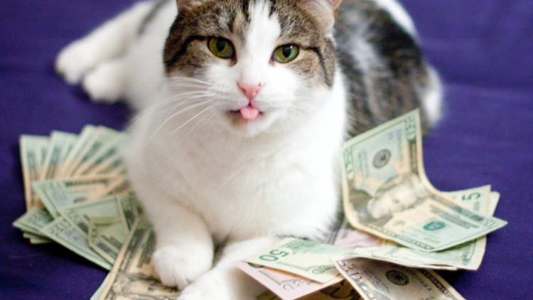 Денежная кошка
