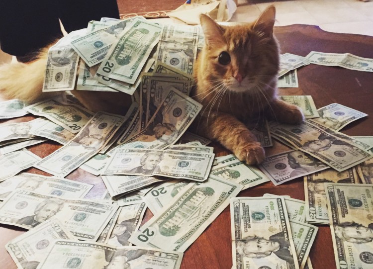 Кот с баблом