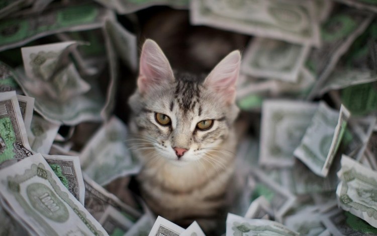 Животные с деньгами
