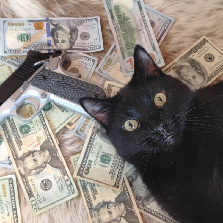 Денежный кот