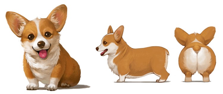 Вельш корги референс