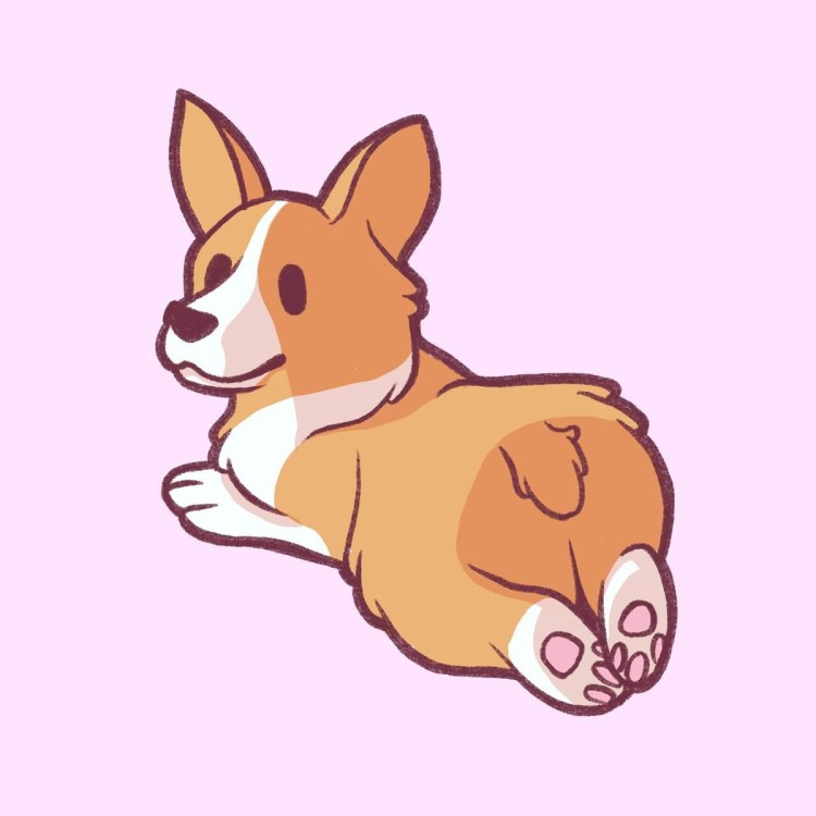 Красивые собаки маленькой породы корги