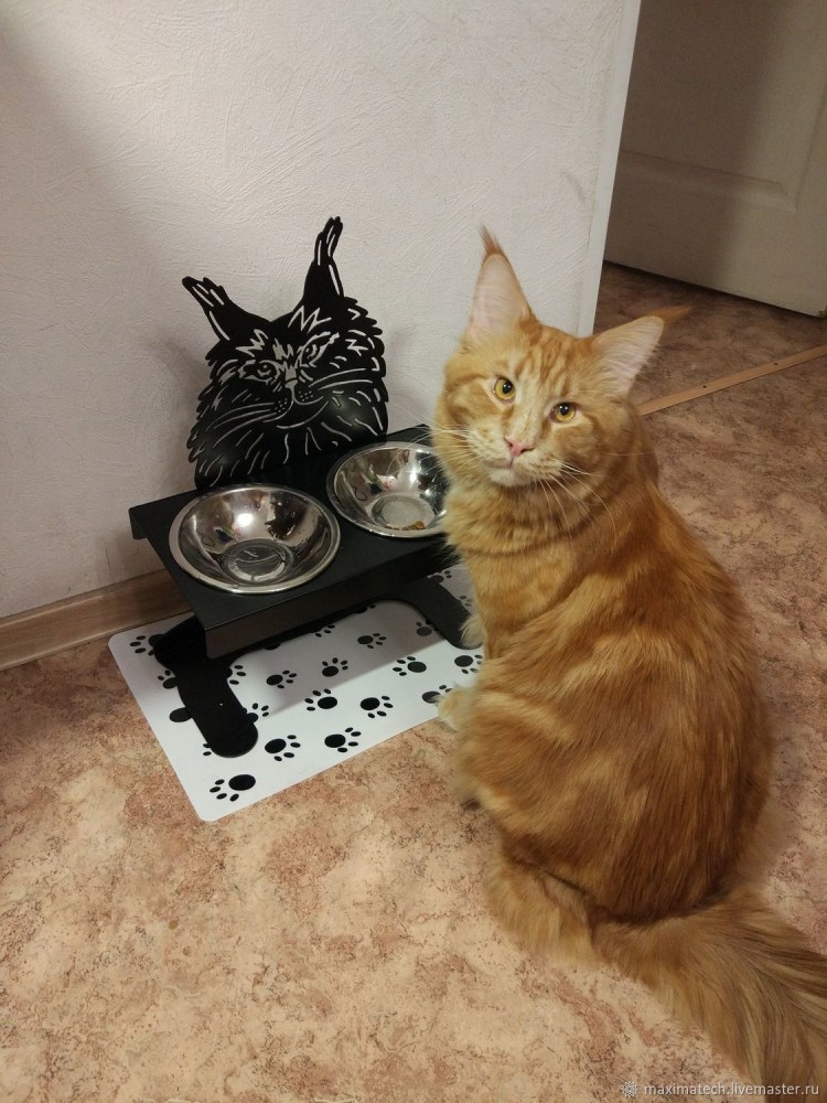 Миска непроливайка для Мейн кунов