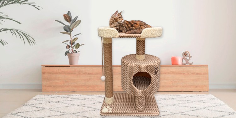 Миска "best Cat 2 in 1"