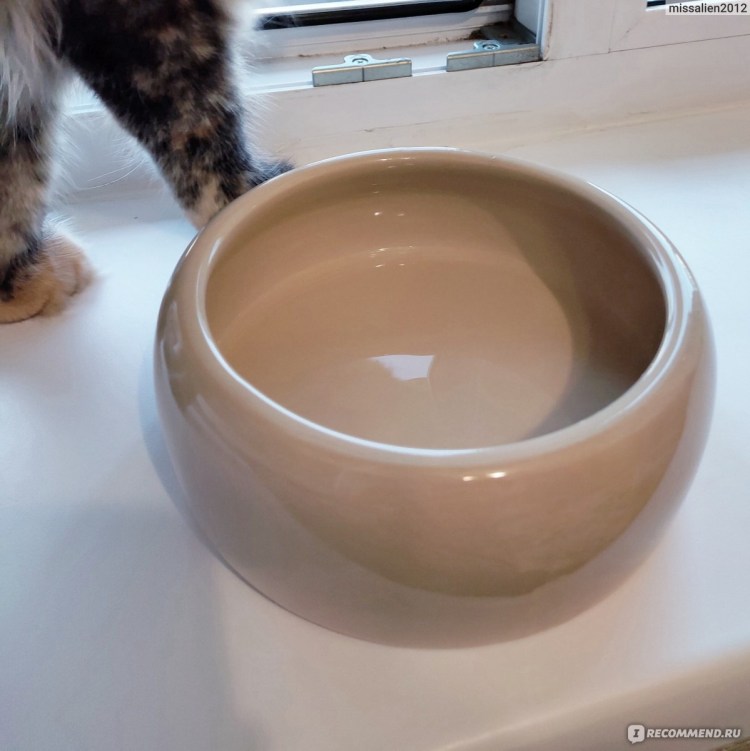 Миски для воды для Мейн кунов