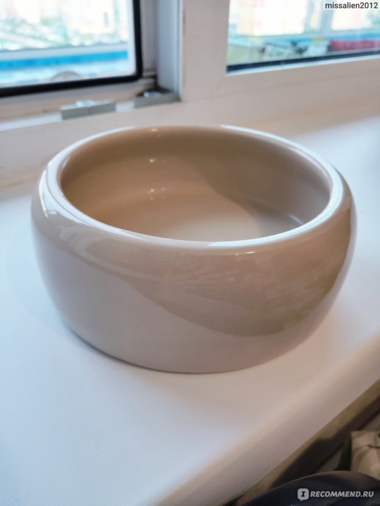 Приучить Мейн куна к унитазу